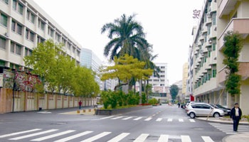 东城建青 东城建青